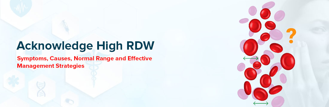 High RDW Symptoms, Causes and Effective Management Strategies